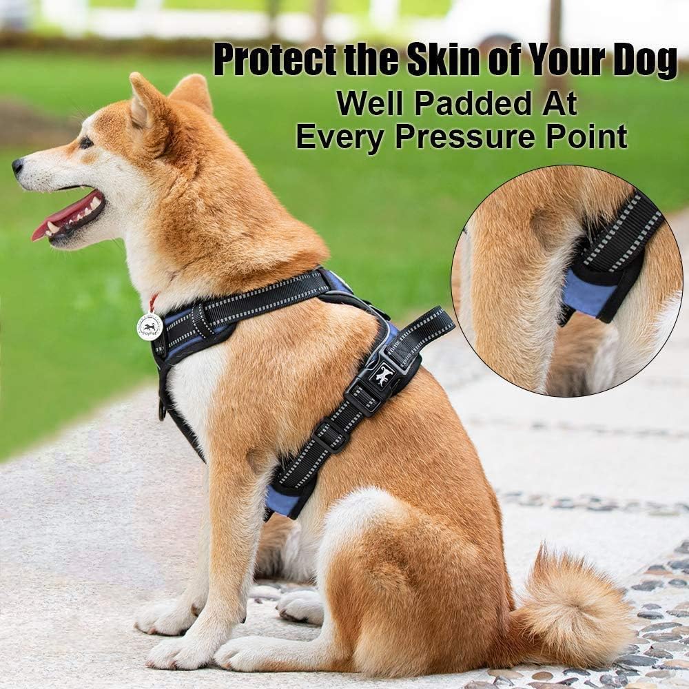 PoyPet No Pull Dog Harness, Reflective Comfortable Vest Harness with Front & Back 2 Leash Attachments and Easy Control Handle Adjustable Soft Padded Pet Vest for Small to Large Dogs (Light Blue,XS)