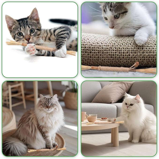 Silvervine Sticks for Cats 8 Pack Natural Cat Chew Toy Teeth Cleaning Edible Matatabi Dental Care Kitty Chew Sticks Catmint Cat Nip Treat Stick for Bored Indoor Kitty Calm Anxiety and Stress
