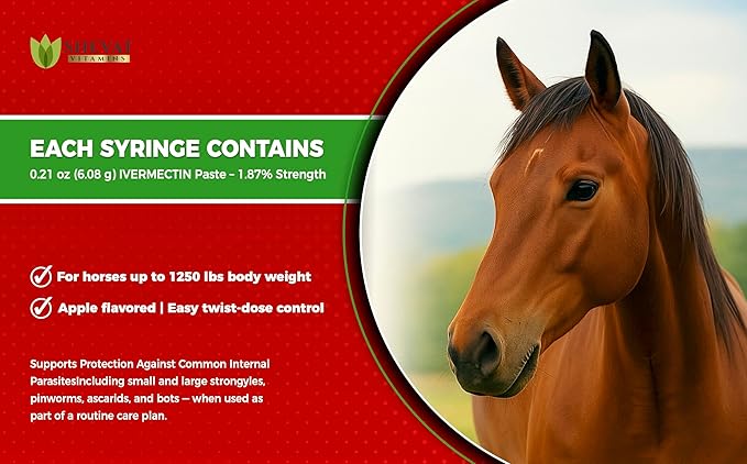 Ivermectin Horse Paste 1.87% – Apple Flavored – 6.08g Tube – for Horses Up to 1250 lb - 1 Pack