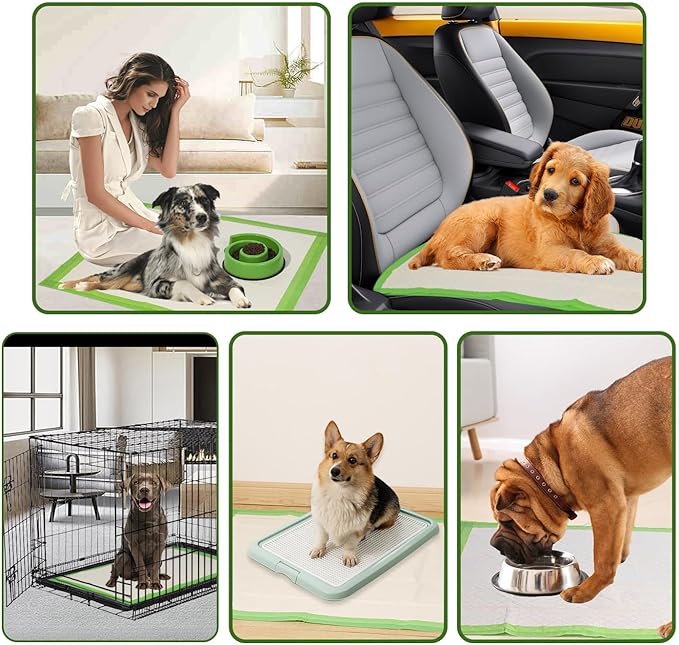 Gardner Pet Dog Pee Pads Extra Large 28"x34", XL Thicker ECO Green Disposable Puppy Training Pads Super Absorbent Full Edge-Wrapping Pad for Dogs, Puppies, Cats, Rabbits (10 Count)