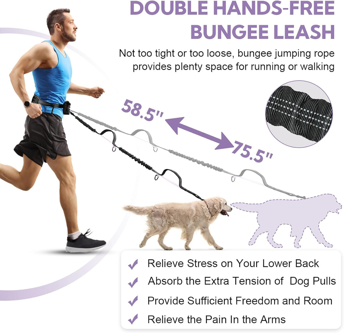 Hands Free Dog Leash, Shcok Abosoring Bungee with Double Padded Handles, Waist Leash for Dog Walking, Dog Leash with Bungee for Medium & Large Dog, Dog Walking Accessories, Black Purple