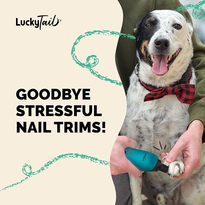 LuckyTail Pet Nail Grinder for Dogs and Cats - Super Quiet and Low Vibration Electric Dog Nail Grinder with 2 LED Lights - USB Rechargeable and Cordless - 2 Speeds - Small to Large Pets - Teal
