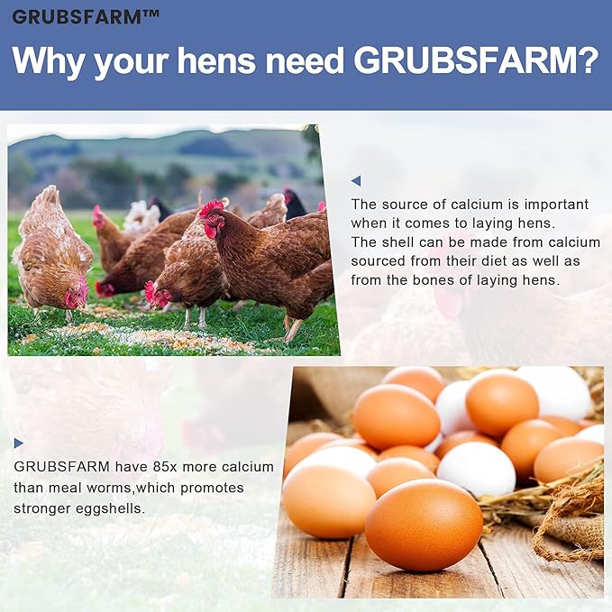 Superior to Dried Mealworms for Chickens 5lb - 85X More Calcium Than Mealworms - Non-GMO Chicken Feed - Molting Supplement - BSF Larvae Treats for Hens, Ducks, Turkeys, Wild Birds, Quails