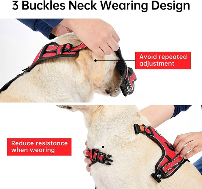 IVY&LANE No Pull Dog Harness for Large Dogs, Dog Vest Harness with Leash, Safety Belt and Storage Strap, Fully Adjustable Harness, 360° Reflective Strip, Soft Handle (Red, L)