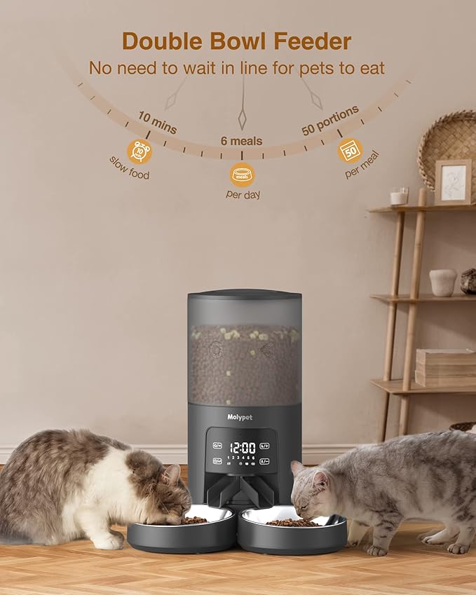 Automatic Cat Feeders - 6L Cat Food Dispenser with Double Bowls, Programmable Timed Feeder for Up to 6 Meals per Day with 10S Voice Recorder, Supports Dual Power Supply
