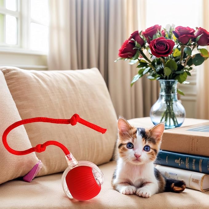 Cat Toys Cat Toys for Indoor Cats Interactive Cat Toys Smart Obstacle Avoidance Cat Ball Indoor Cat Boredom Interactive Toys (Grizzly)