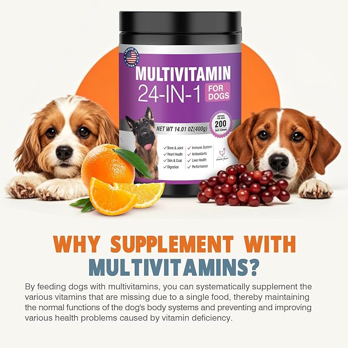 24-in-1 Dog Vitamins and Supplements 200 Ct Dogs Multivitamin Chewable Contain Chondroitin Probiotics Omega-3 Glucosamine for Dogs Skin Coat Heart Joint Gut Liver Brain Eyes Immune Support - Chicken