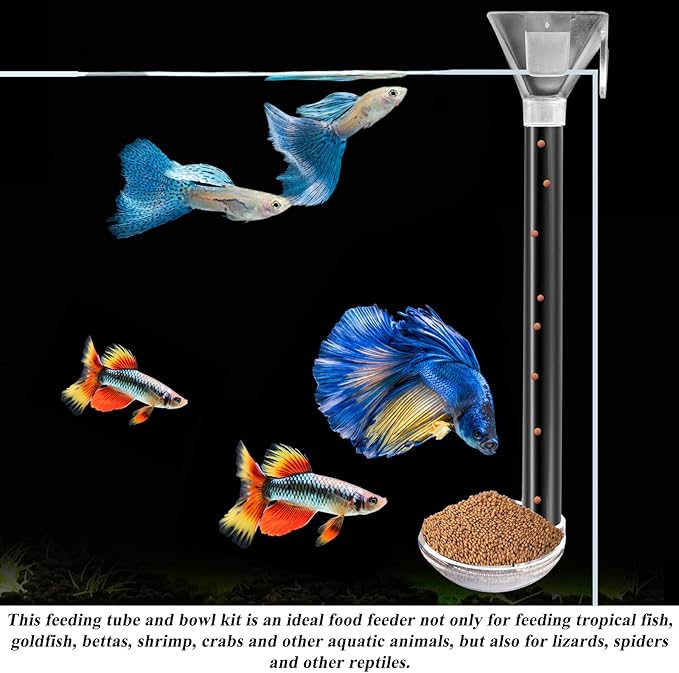 Aquarium Fish Shrimp Feeding Dish Set, Shrimp Feeding Dish Set, Transparent Shrimp Feeding Adjustable Tube with Feeding Ring, Cleaning Brush for Fish Tank and Preventing Food Scattering (Large)