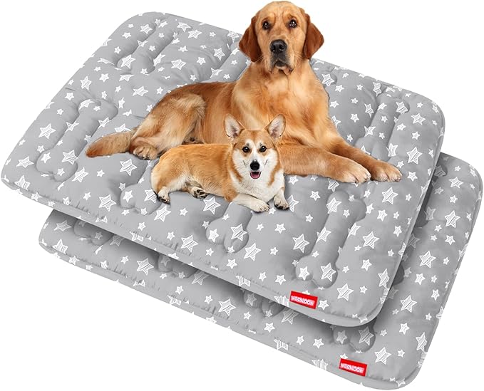 Dog Crate Mat (42" X 28") 2 Pack, Soft Dog Bed Mat with Cute Prints, Personalized Crate Pad, Anti-Slip Bottom, Machine Washable Kennel Pad, Grey