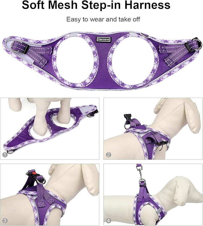 Mercano Soft Mesh Dog Harness and Leash Set, No-Chock Step-in Reflective Breathable Lightweight Easy Walk Vest Harnesses with Safety Buckle for Small Dogs, Cats (S, Purple)