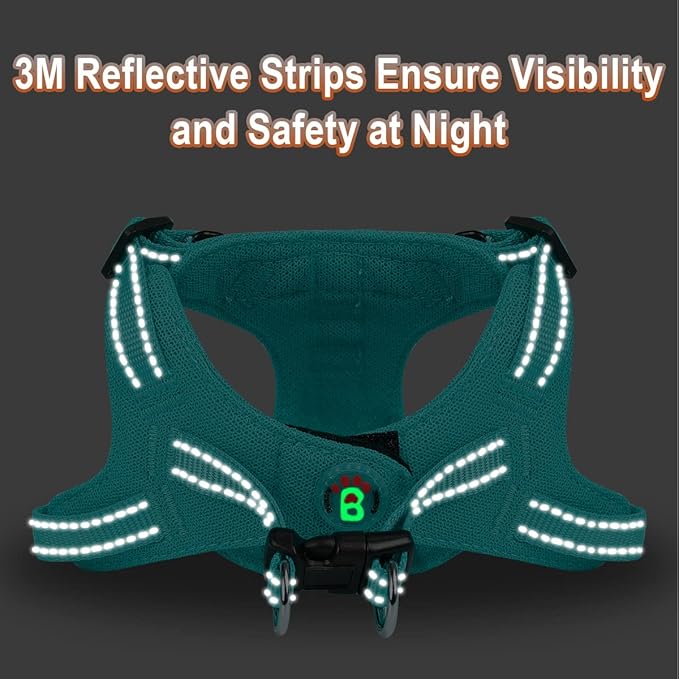 Dog Harness Step in Dog Vest Harness, Reflective Adjustable Puppy No Pull Harness Breathable Soft for Small and Medium Dogs Cats, Ocean Blue, XS