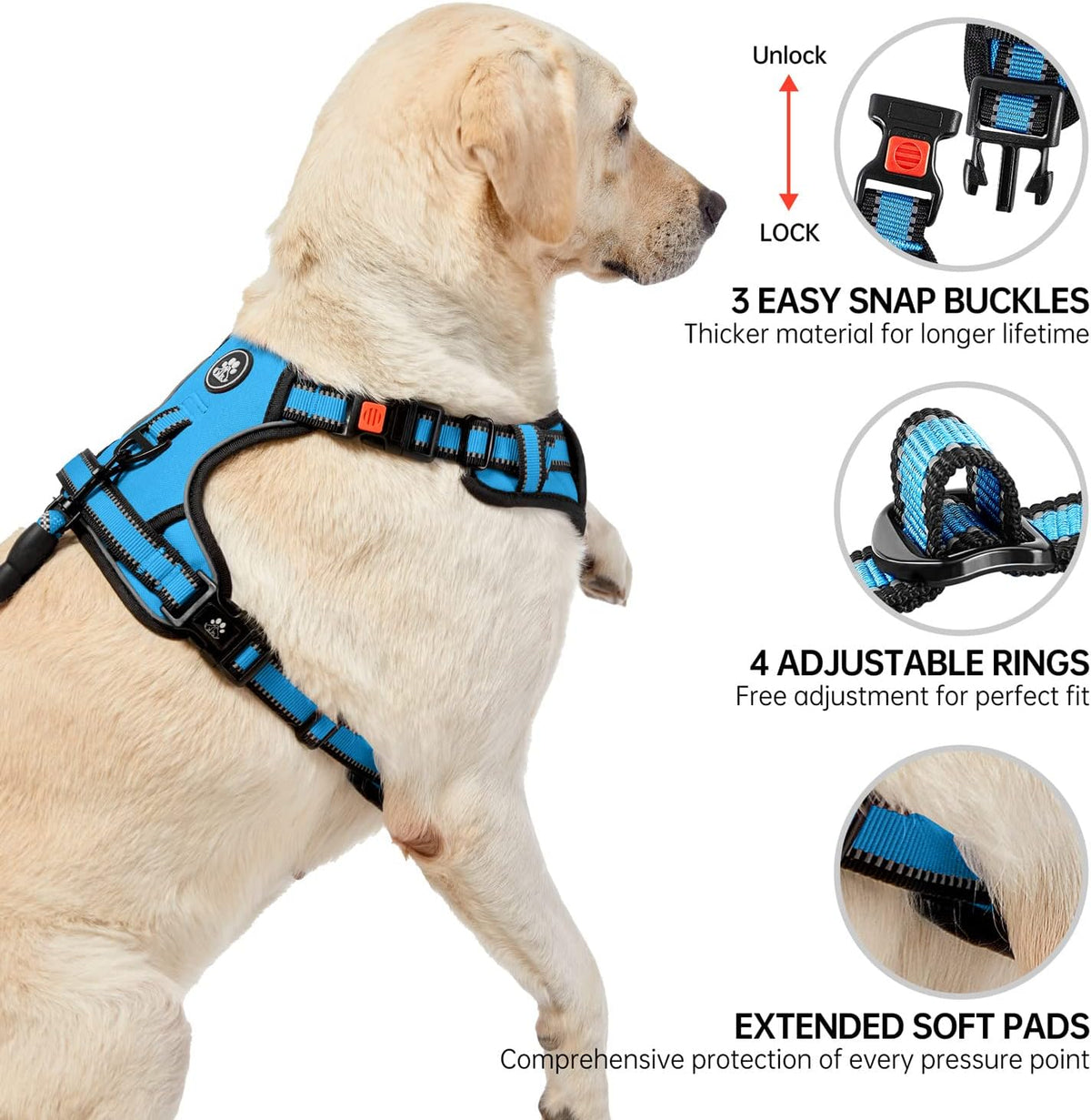 NESTROAD No Pull Dog Harness,Adjustable Oxford Dog Vest Harness with Leash,Reflective No-Choke Pet Harness with Easy Control Soft Handle for Small Dogs(X-Small,Blue)