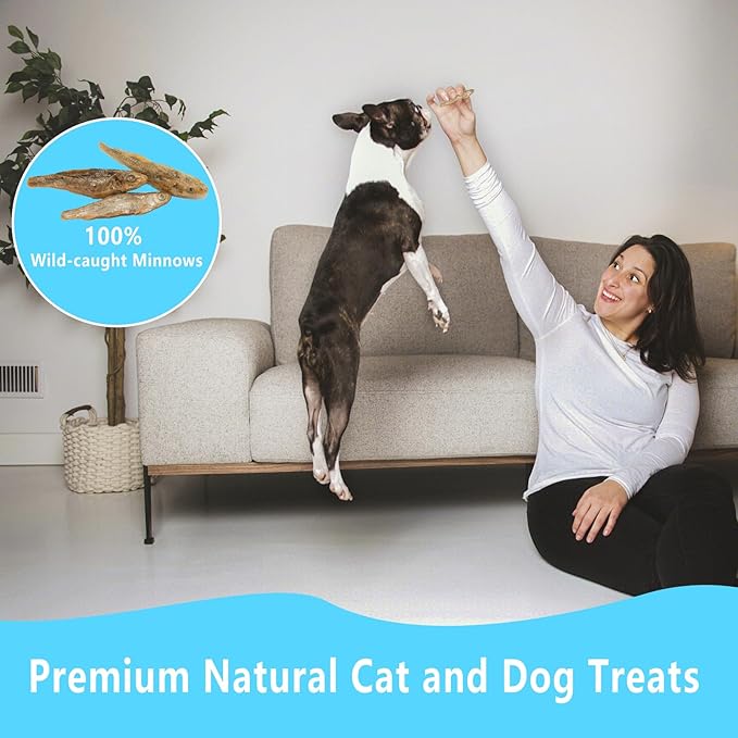 Freeze Dried Minnows, 100% Natural Premium Cat Dog Treat, Freeze Dried Minnows Pet Treats, for Dogs Cats (2.8 OZ)