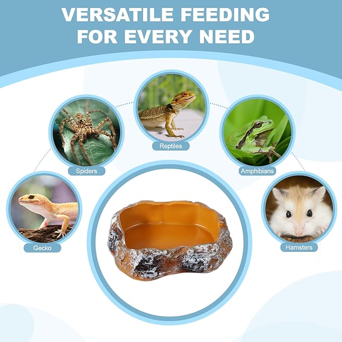 Reptile Food Bowl, Reptile Feeding Dish Corner Bowl Water Resin Rock Worm Feeder Dish XS (4.1 in, Orange), Intended for Lizards/o/Scaled Pet/Leopard o/Spiders
