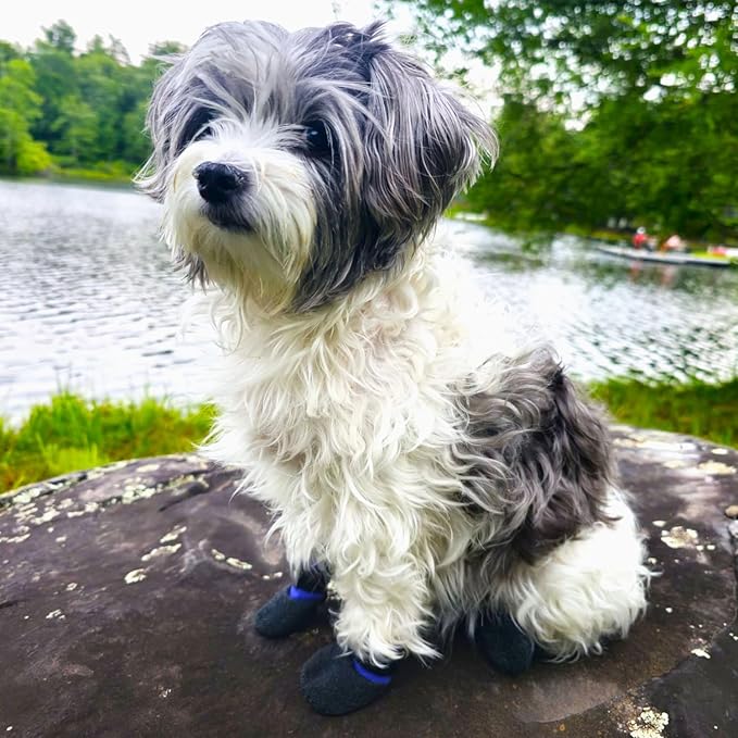 Double Dipped Thick Textured Waterproof Cotton Dog Socks | PawFlex Comfy Pawz Soft Indoor/Outdoor Pet Booties | Non-Slip Silicone Grip at Inner Wrist for No Twisting or Sliding Off| Adjustable Strap