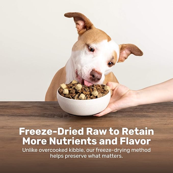 Superfood Nuggets- Premium, Freeze-Dried raw Dog Food Topper or Treat. Powerful Nutrient-Dense Ingredients. No Artificial additives. Duck and Kale Formula 8oz - 4pk Bundle