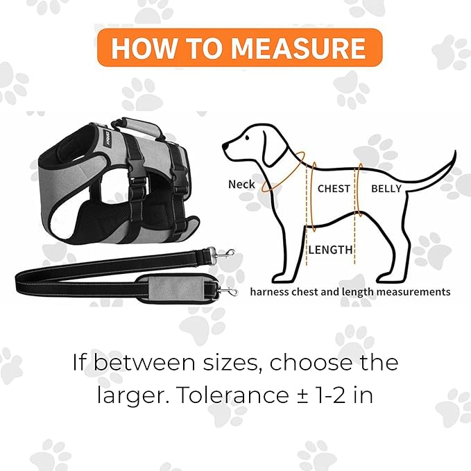 Ayquez Dog Lift Harness with Storage and Transport Bag, Dog Harness with Handle for Lifting & Hip dysplasia, arnés para Perros pequeños, pechera para Perros (Gray, L)