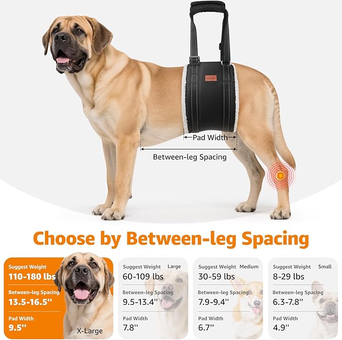 LOOBANI Portable Dog Sling for Back Legs, Hip Support Harness to Help Lift Dogs Rear for Canine Aid and Old K9 Cruciate Ligament Rehabilitation