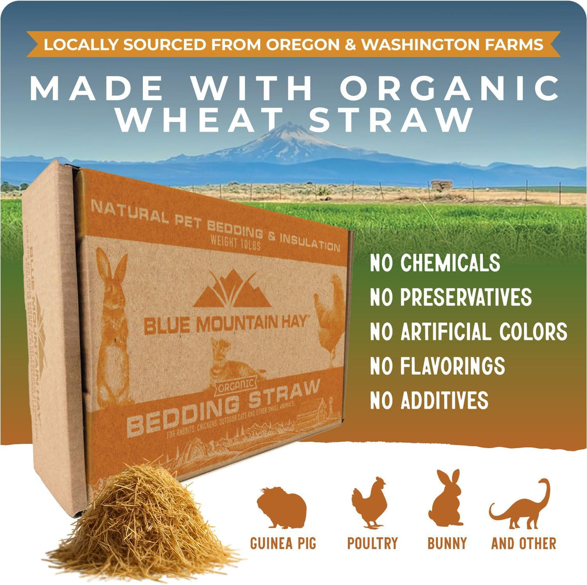 Blue Mountain Hay | Organic Bedding Straw (5 lb) | Natural Pet Bedding & Insulation for Rabbits, Guinea Pigs, Goats, Chickens, Stray & Feral Cats, and Small Animal Shelters