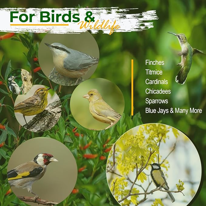 Wildlife Sunflower Hearts & Chips for Bird Feeding and Wildlife Bird attracting, Non-GMO and USA Grown, 25 lbs