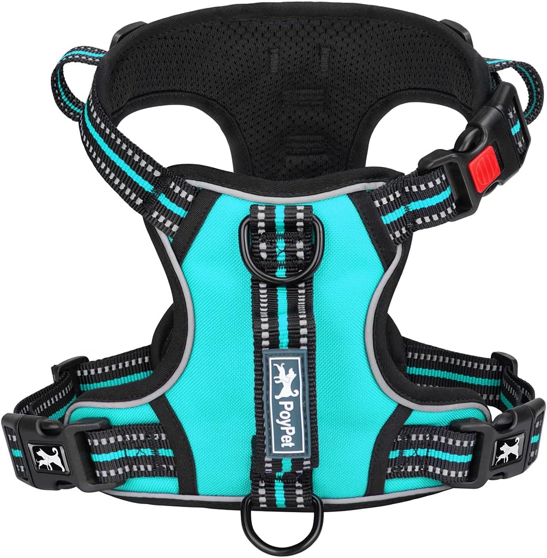 PoyPet No Pull Dog Harness, No Choke Front Clip Reflective Dog Vest with Soft Padded Vertical Handle, 3 Leash Attachments for Small Medium Large Dogs (Mint Blue,L)