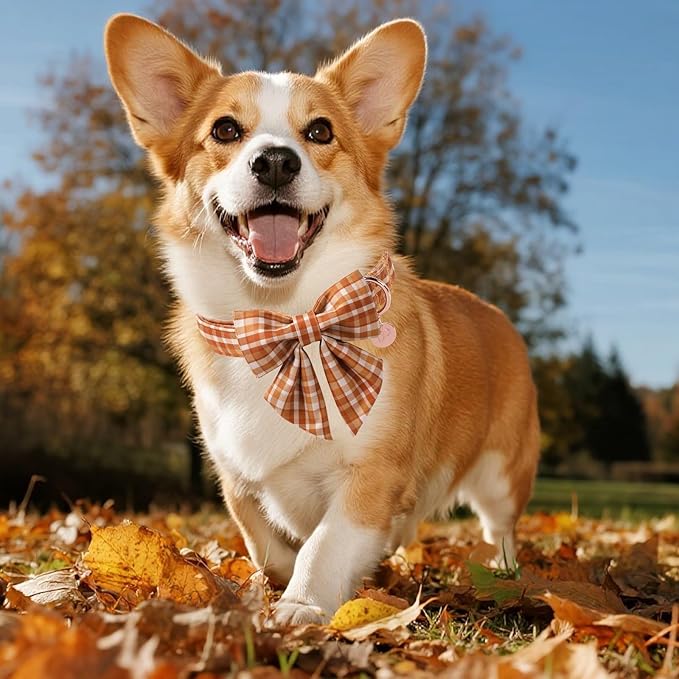Fall Plaid Dog Collar and Bow Tie Set – Brown Orange Checkered Adjustable Collar with Maple Leaf Charm for Small Medium Large Dogs, Soft Cotton Puppy Collar with Quick Release Buckle