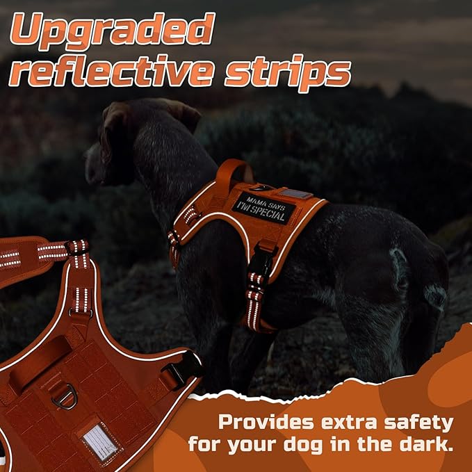 rabbitgoo Tactical Dog Harness Medium Sized Dog, No Pull Military Service Vest with Handle & Molle, Easy Control for Training Walking, Adjustable Reflective Straps, Orange, M