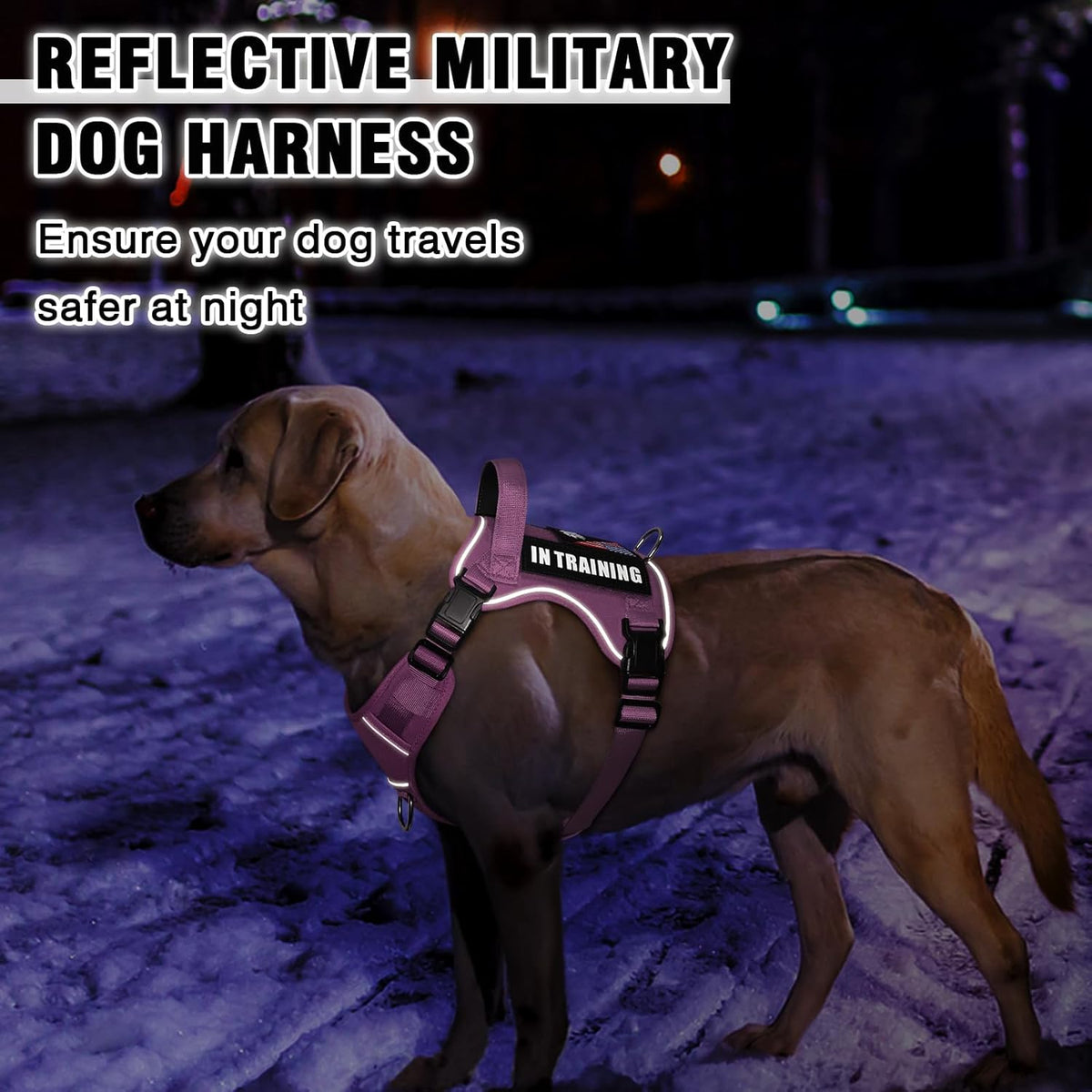 WINSEE Service Dog in Training Harness with 5 PCS Patches, Reflective Tactical Dog Vest Harness, Adjustable Soft Oxford Pet Harness with Easy Control Handle, Hook & Loop Panels for Walking Hiking