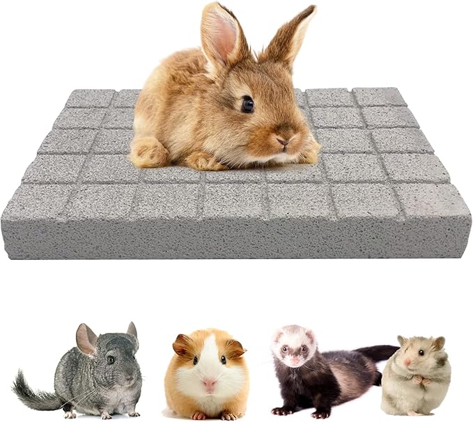 BNOSDM Rabbit Grinding Claw Pads Natural Hamster Lava Stone Teeth Grinding Scratching Pad Chew Toy for Small Animals