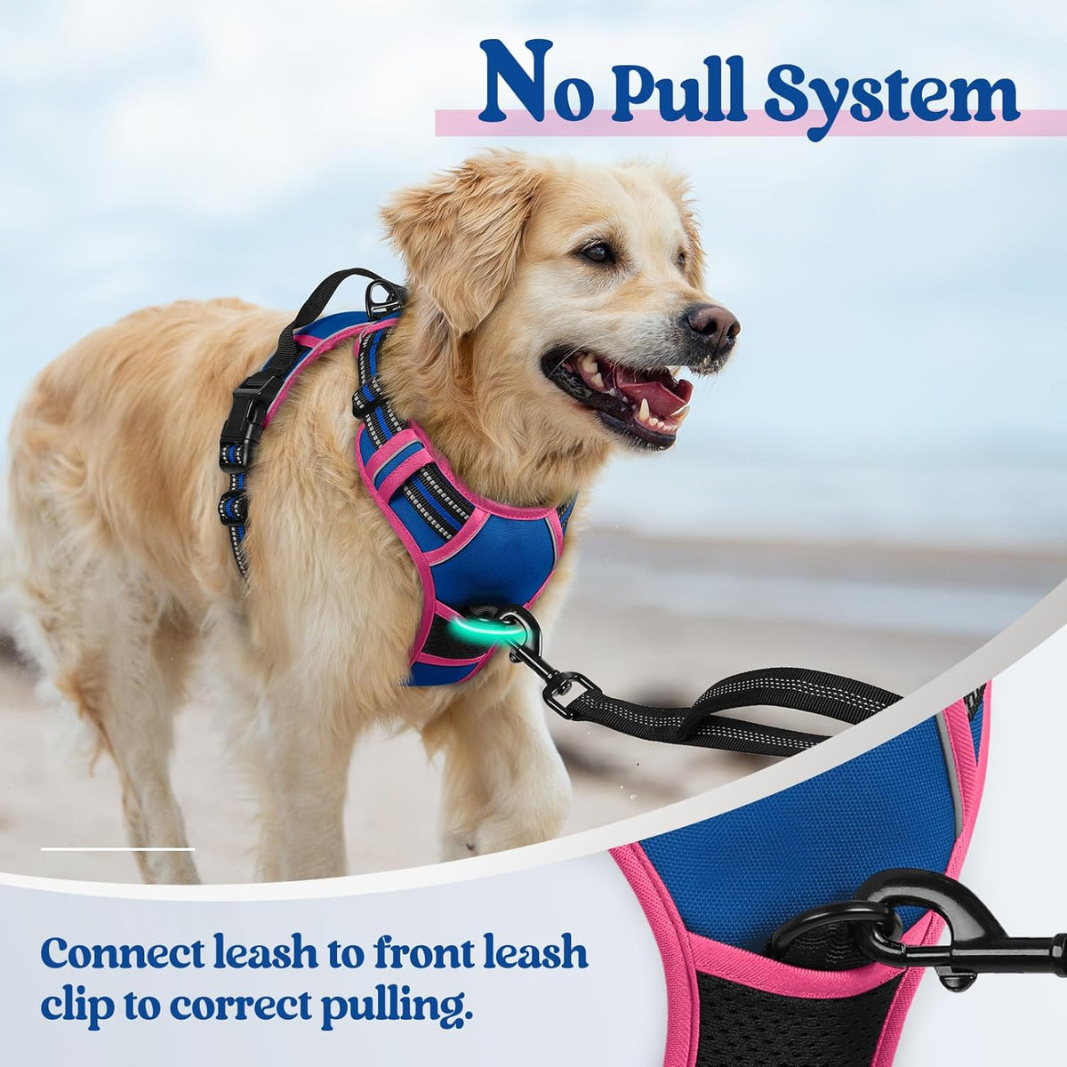 rabbitgoo Dog Harness No Pull with 2 Leash Clips, Adjustable Soft Padded, Reflective Oxford No Choke Pet Vest with Easy Control Handle for Large Dogs, Blue & Hot Pink, L