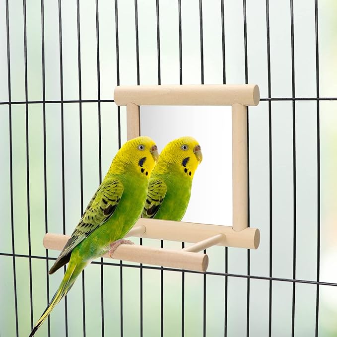 Bird Mirror with Perch Bird Toys for Parrots Budgies Parakeets Cockatiels Lovebirds Finches Canaries