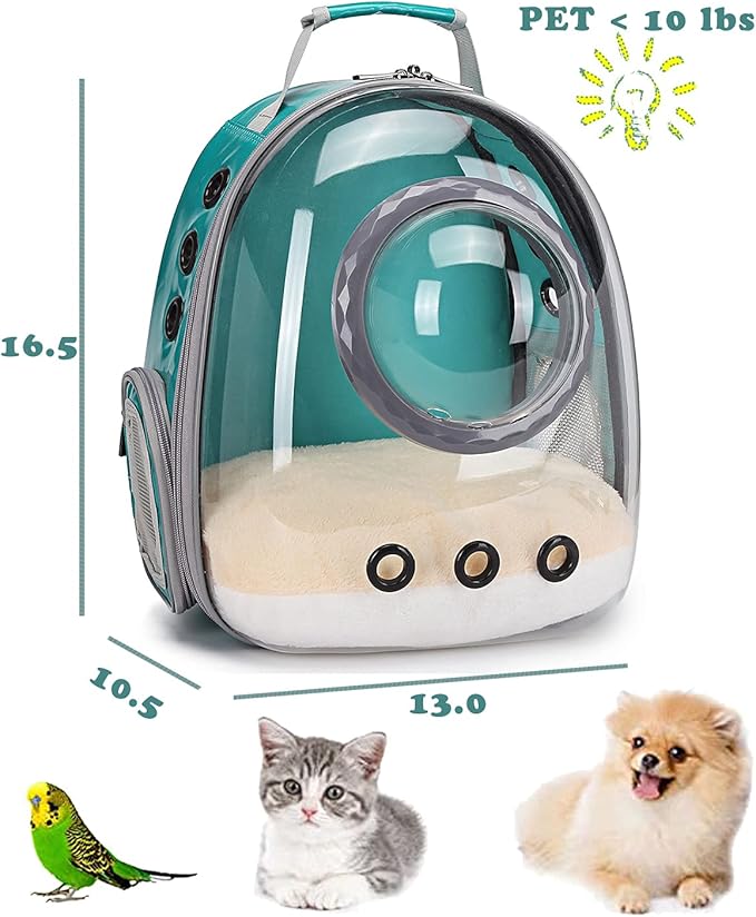 Bubble Cat Carrier Backpack Transparent Pet Carrier Backpack for Small Puppy and Bunny (Green, Backpack)