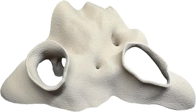 Aquarium & Terrarium Corner Cave – Faux Mangrove Root Hideout for Fish, Shrimp, Geckos, Snakes – Natural-Look Reptile Tank Decor in Textured Root Style (Desert Tan (Sand), 7.5''x7.5''x4'')