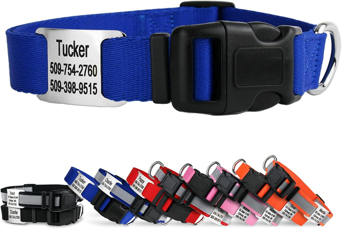 GoTags Personalized Dog Collar with Nameplate, Adjustable Dog Collar with Custom Engraved Slide On Pet ID Tag in Stainless Steel, Silent, No Noise Dog Tag for Large Medium and Small (Blue, Medium)