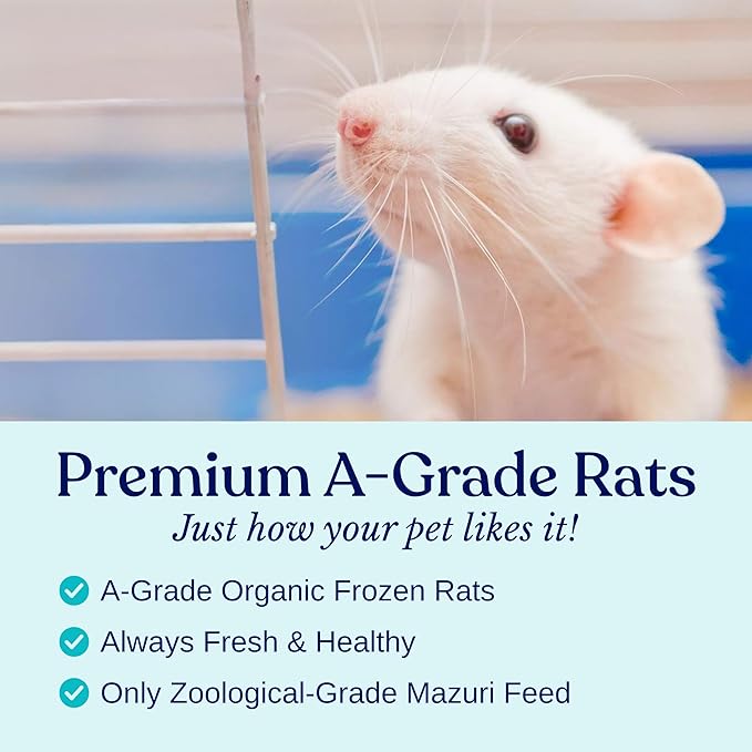 MiceDirect EST. 2003 50 Frozen Mice Pinkie Feeders Snake Food for Corn Ball Pythons Lizards (.5-1 in) (100 Grams Min)