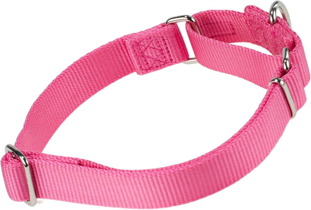 Hyhug Improved Design Nylon Webbing, Cold Water Washing Does Not Fade, Not Polluting Dog Hair, Wear Resistant and Not Prone to Fuzzing. No Slip Training Martingale Collar (Candy Pink, Medium)