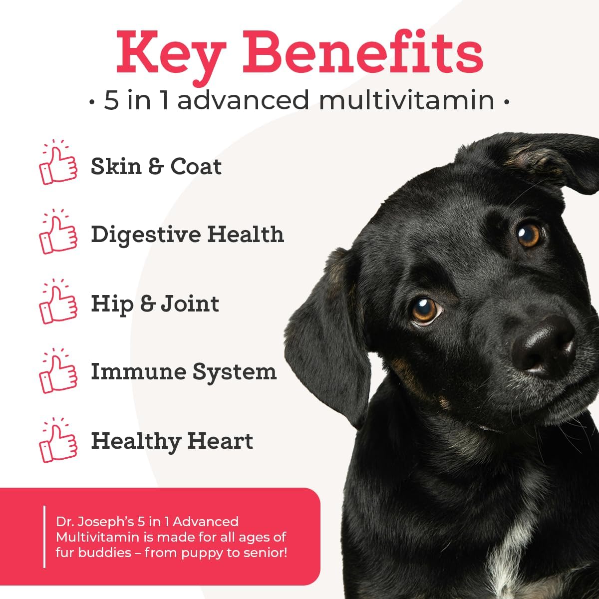 Dr. Joseph's VetPro Complete Multivitamin Dog Supplement, 60 Count (Small Dog 60 Days Supply), 5 in 1 Chew with Vitamins, Enzymes & Nutrients, Hip and Joint Health, Immune System and Allergy Support
