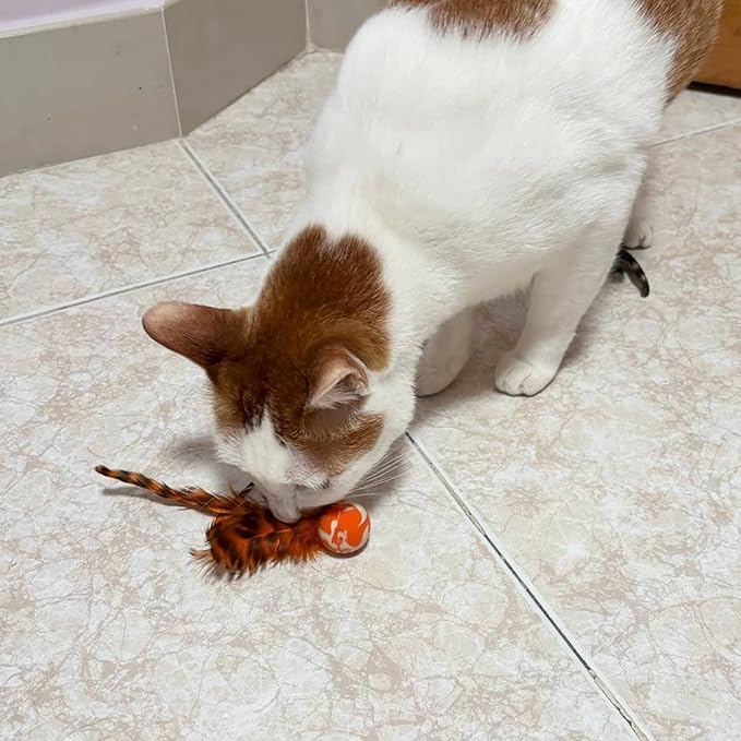 Cat Toy Balls, 5 PCS Colorful Feather Bouncy Balls for Cats No Noise Interactive Kitten Toys Cat Exercise Ball, Safe for Your Kitty (C)