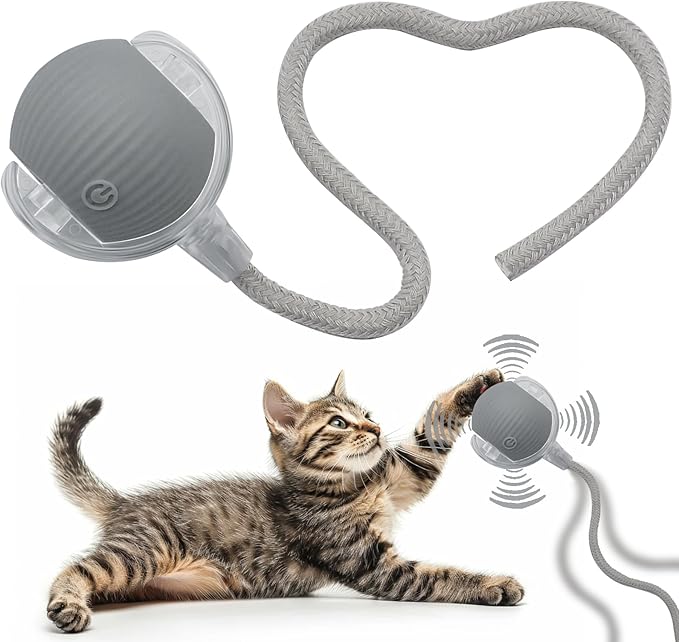 Interactive Cat Dog Toy Ball: Indoor Small Automatic Moving Smart Rolling Fun Pet Game with Led Light and String Tail for Motion Activated, Cute Kitten Puppy Present, Exercise Wheel Supplies (Grey)