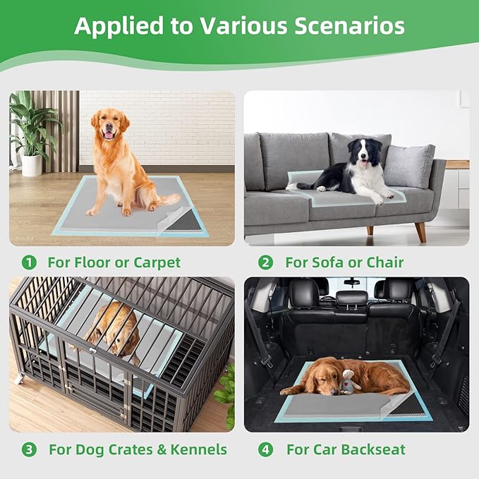 Activated Carbon Puppy Pads 30"x26" (40-Count), Charcoal Dog Pads Extra Large, Disposable XL Dog Pee Pads for Potty Training, Leak-Proof Pet Pads for Whelping Puppies, Kittens, Rabbits