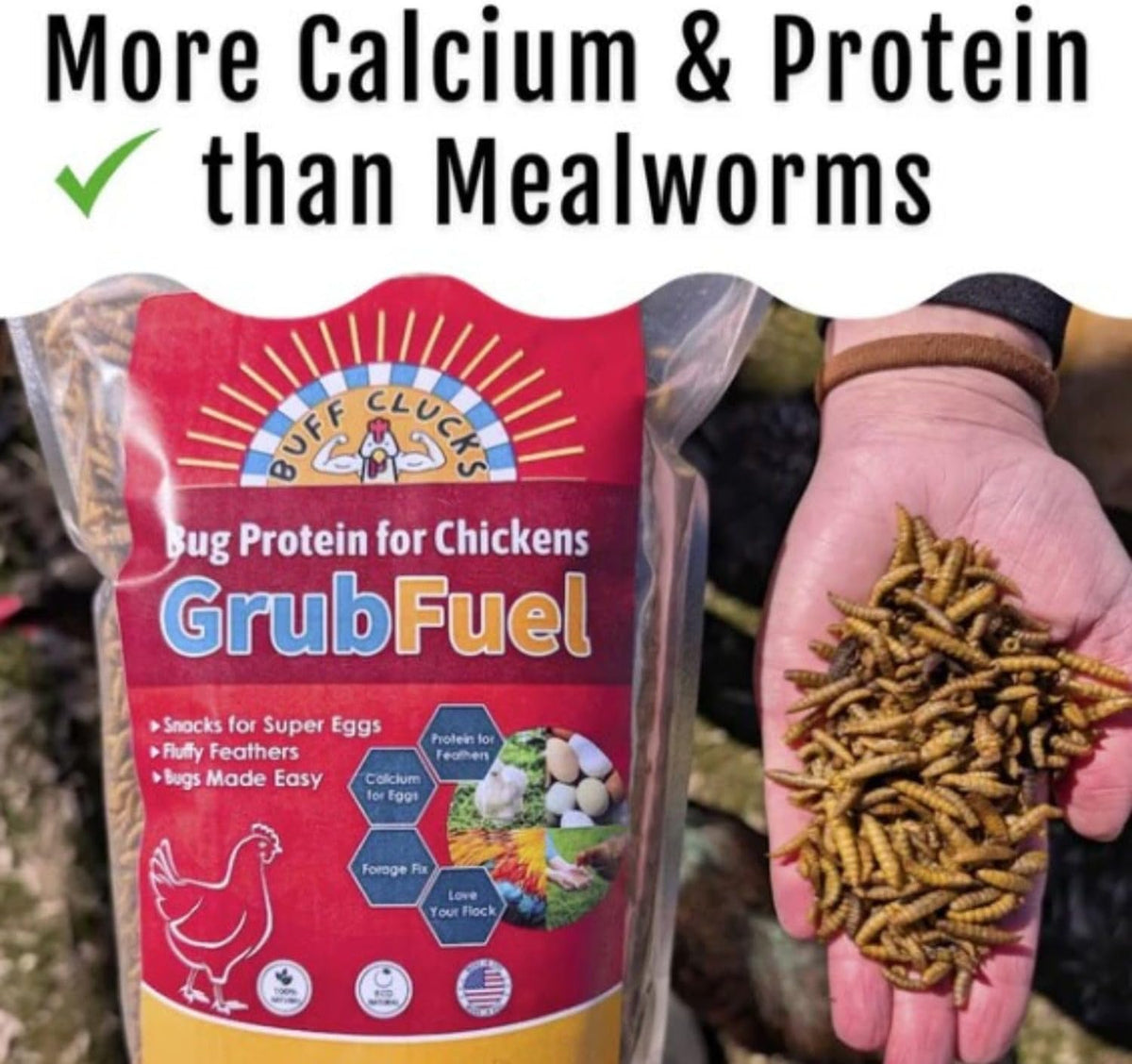 Grub Fuel Black Soldier Fly Larvae for Chickens - Nutrient Packed BSFL, Sustainably Sourced Snack for Poultry, Rich in Protein, Calcium, Fiber, Essential Fatty Acids, USA Grown (5LB)