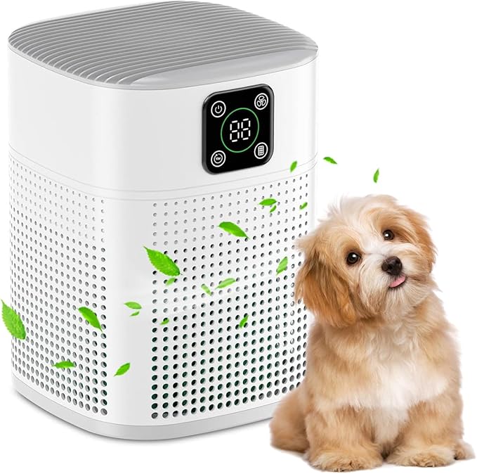 Air Purifiers for Bedroom, Honeyuan H13 HEPA Air Purifier for Home Large Room 600 sqft, Air purifiers with 360°Air Intake, 3 Fan Speeds, 3-Stage Filtration, White