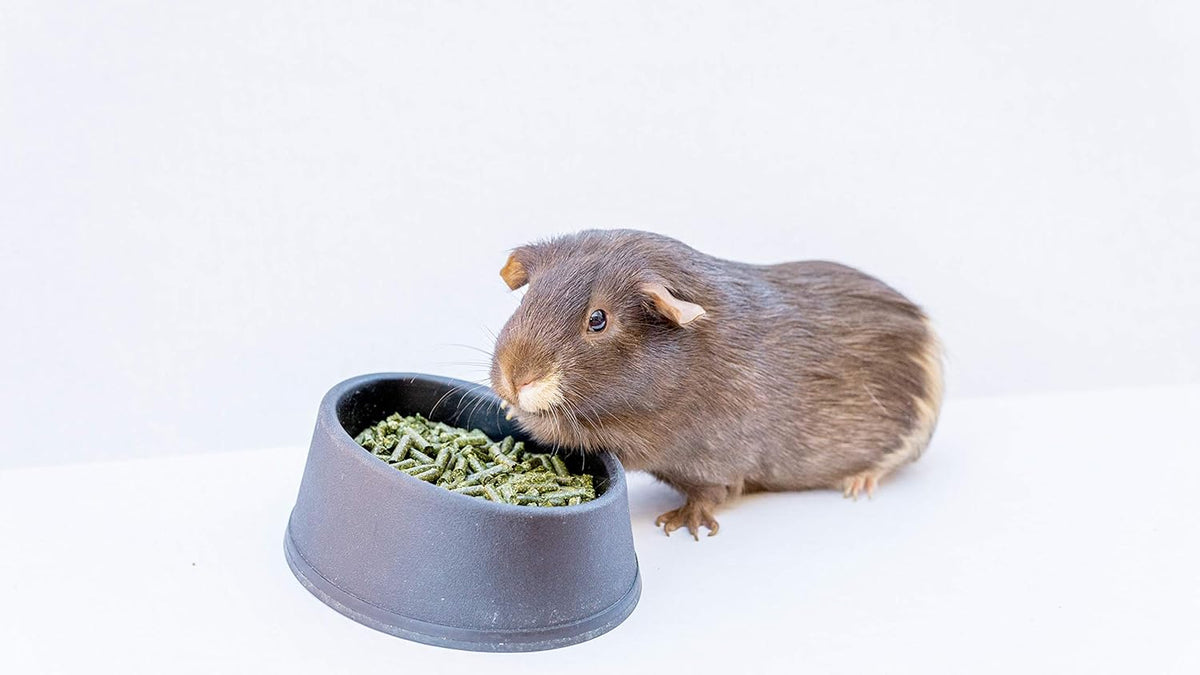 High Desert Timothy Grass Hay Pellets for Rabbits, Guinea Pigs, Chinchillas, and Small Pets