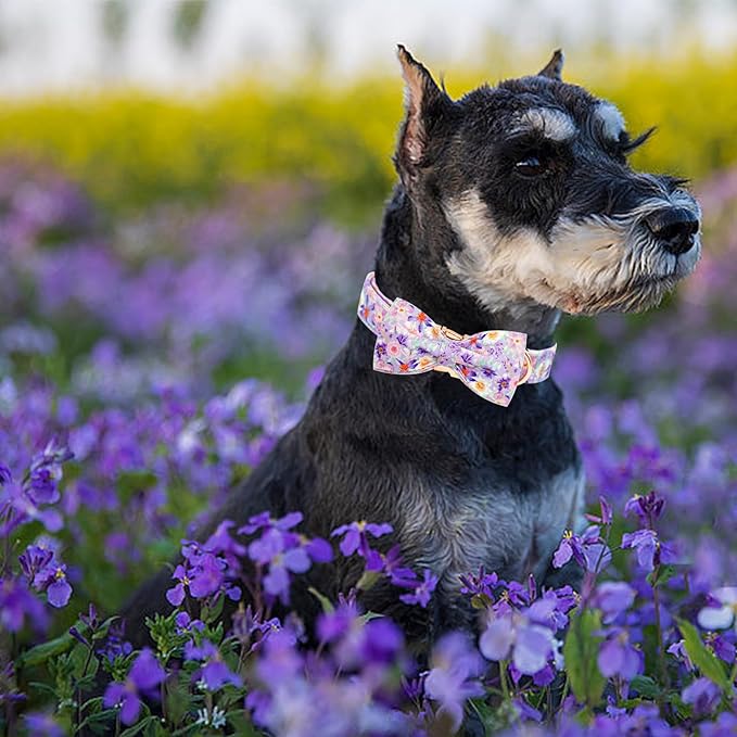 Elegant little tail Dog Collar, Rose Print Pet Collar Summer Dog Collar Durable Metal Buckle Dog Collars Cotton Pet Adjustable Dog Collars for X-Large Dogs
