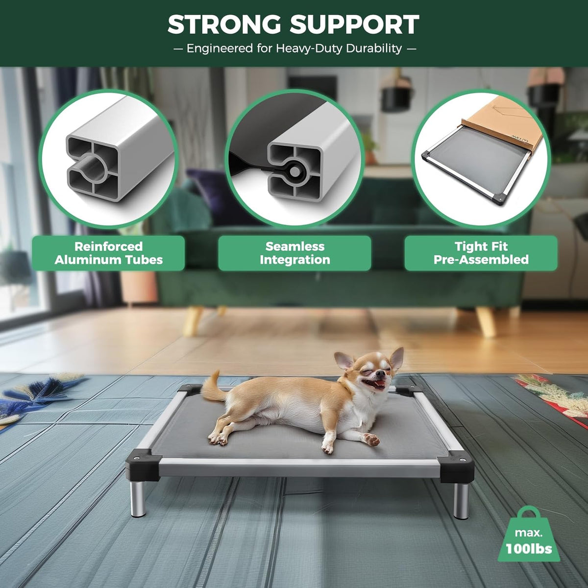 FXW TitanNest Chew-Proof Elevated Dog Bed, Raised Cot for Indoor/Outdoor/Camping Use, Durable & Washable Padded Pet Bed for Toy Dogs, 24.0" L x 20.0" W x 4.1" H, Gray