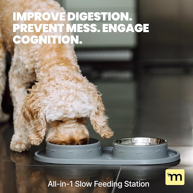 MalsiPree Cat & Dog Slow Feeder Bowl – Improve Digestion – Stainless Steel Water Bowl & Anti-Spill Silicone Mat – for Small & Medium Breeds – 15 oz - Puppy Slow Feeder