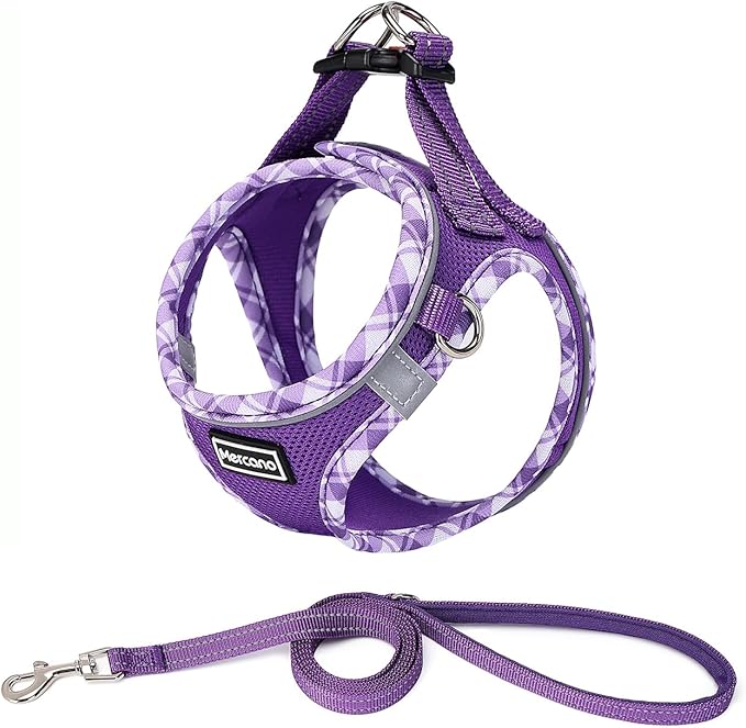Mercano Soft Mesh Dog Harness and Leash Set, No-Chock Step-in Reflective Breathable Lightweight Easy Walk Vest Harnesses with Safety Buckle for Small Dogs, Cats (M, Purple)