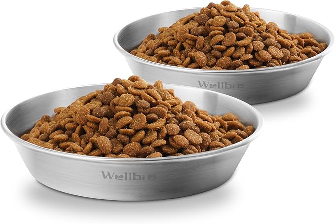 Cat Food Bowls, 2 Pcs Stainless Steel Cat Food and Water Bowls, Whisker Fatigue Shallow Cat Dishes, Small Dog Puppies Fat Faced Cat Kitten Supplies