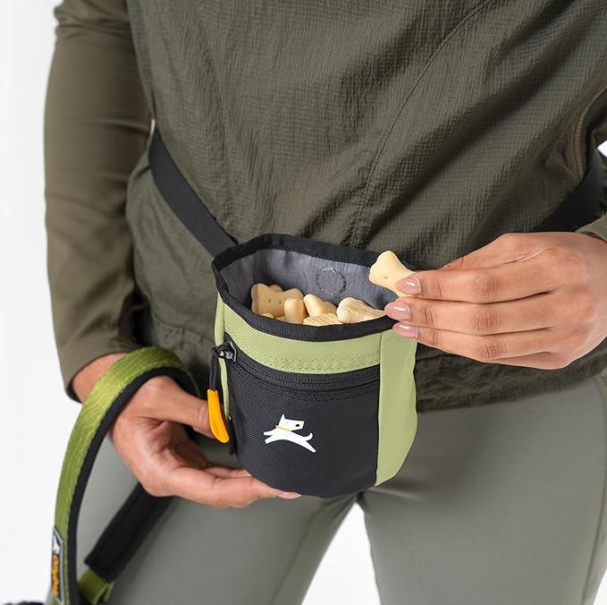 OllyDog Goodie Treat Bag, Dog Treat Pouch, Waist Belt Clip for Hands-Free Training, Magnetic Closure, Dog Training and Behavior Aids, Three Ways to Wear (Palm)