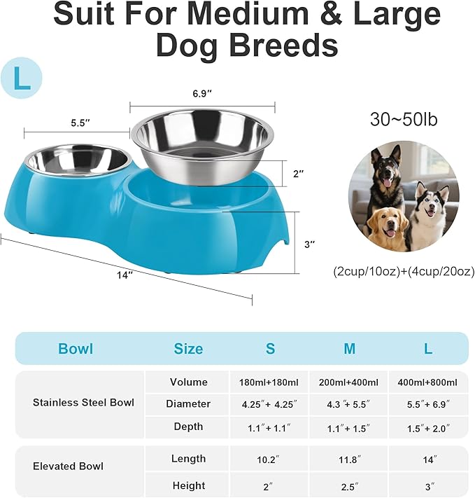 Elevated Dog Bowls Set - Non-Slip Raised Pet Feeder with Medium (2 Cups) & Large (4 Cups) Stainless Steel Bowls - Includes Durable Resin Stand for Puppies, Adult Dogs & Cats - Blue